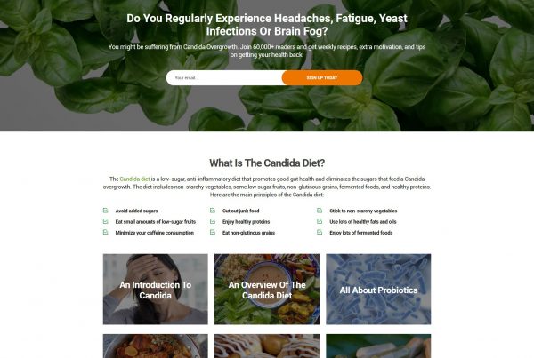 SIS Portfolio - Diet Food & Recipe Program Website Screenshot