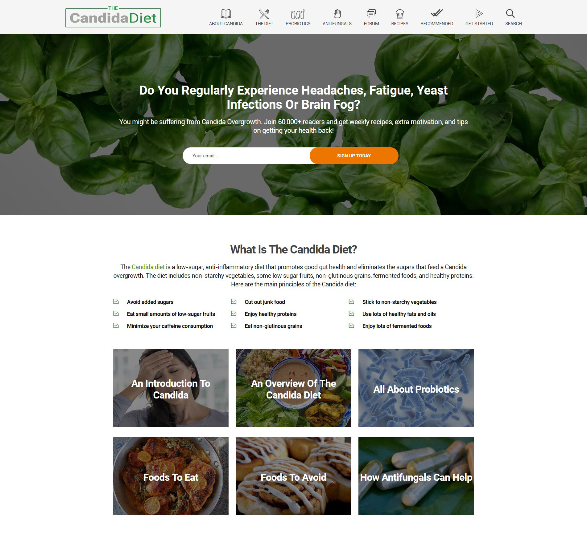 SIS Portfolio - Diet Food & Recipe Program Website Screenshot