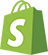Shopify Website Development Platform, Icon