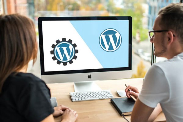 Choosing Between a Custom WordPress Theme and a Premium Theme
