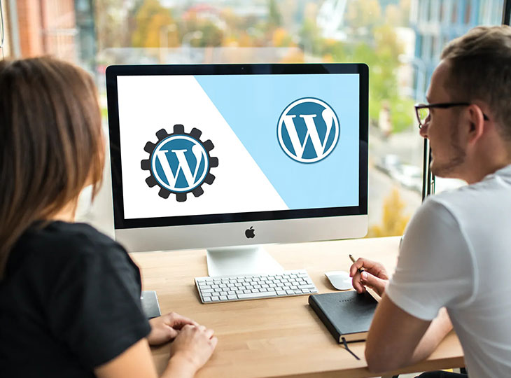 Choosing Between a Custom WordPress Theme and a Premium Theme