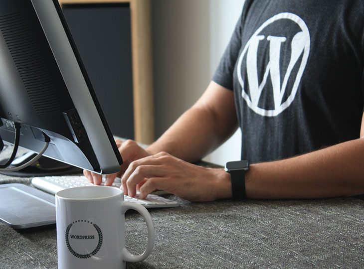 When-and-Why-Should-You-Hire-a-WordPress-Developer